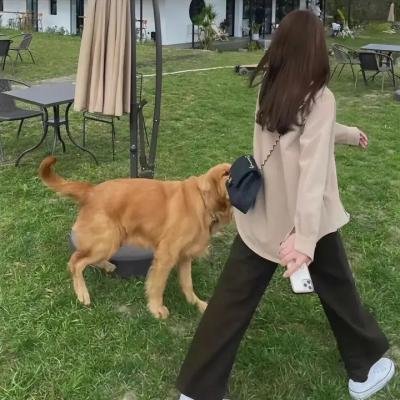 生死绝恋
